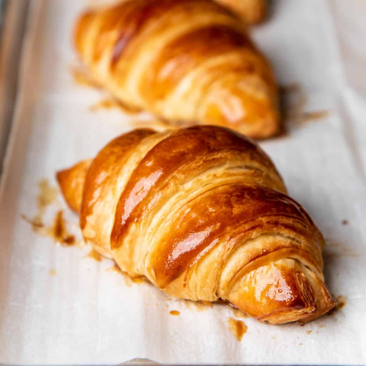 The Delicious Appeal of Croissants